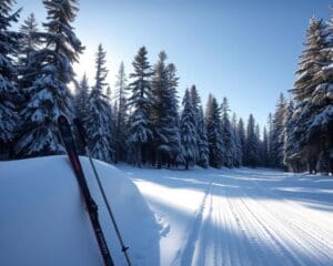 Skilanglauf – Ausdauer und Technik im Schnee