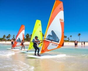 Es Handbuch für Windsurfe-Anfänger