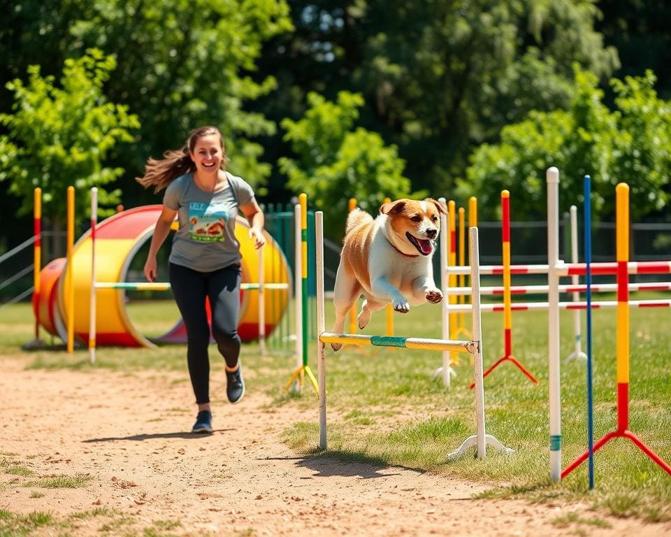 Vorteile des Agility-Trainings