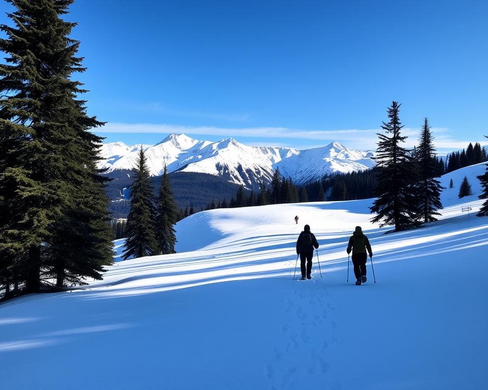 Schneeschuhwandere in Davos entdecken