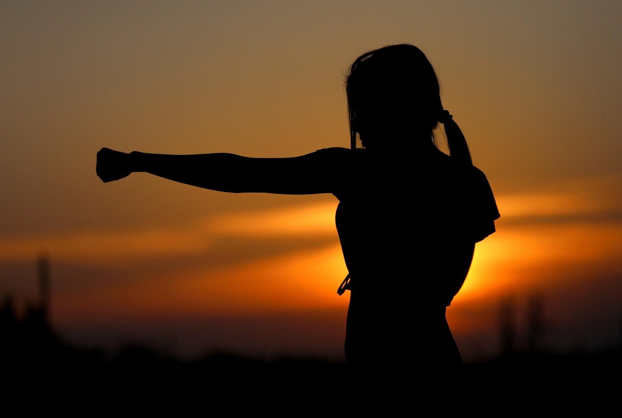 karate, sunset, fight, sports, silhouette, resistance, samurai, fit, nature, girl, self-defense, defense, fist, brown sunset, brown sports